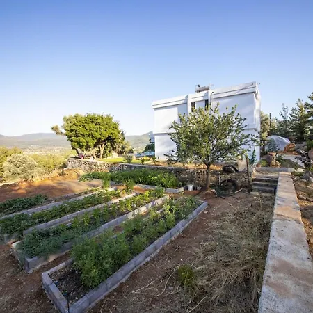 Peaceful With Pool And Garden In Bodrum Villa Camlik (Bodrum)