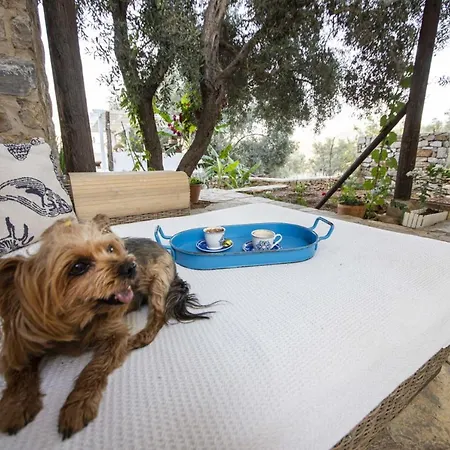 Peaceful With Pool And Garden In Bodrum Villa